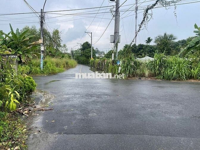 Đất nền giá rẻ ngay trung tâm Tp Bến
