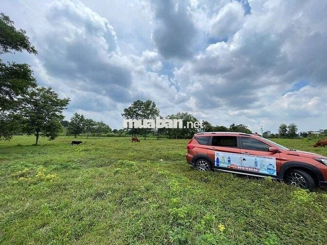 BÁN ĐẤT LỚN – XÃ BẢO BÌNH, HUYỆN CẨM MỸ, ĐỒNG NAI