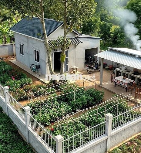🌿Đầu tư một lần – Tận hưởng cả đời nhà vườn 1000m² đất chỉ 850Tr - SHR