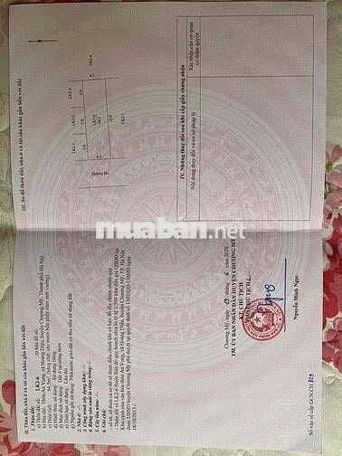 64,5m An Vọng - Hoàng Diệu - Chương Mỹ -HN  ✅ Xe ô tô chạy quanh đất,