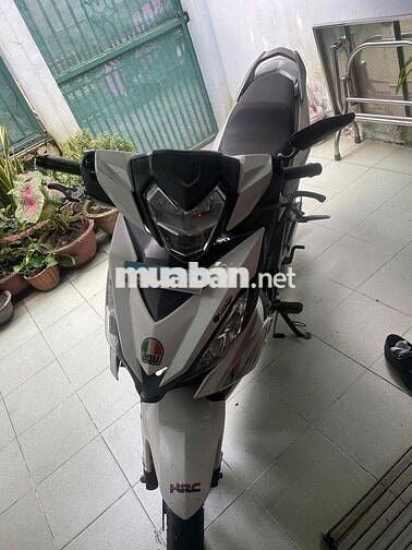 WINNER V1 - Chính chủ