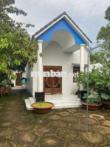 Nhà vườn Bình Chánh 200m2, mặt tiền nhựa, SHR chỉ 780 Triệu