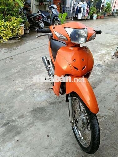 50cc ko cần bằng lái