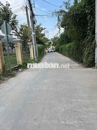 💥HXH ĐẤT THÔNG SỐ ĐẸP AN PHÚ ĐÔNG Q12- DIỆN TÍCH 130 ( 5 x 26) HỆ SỐ X