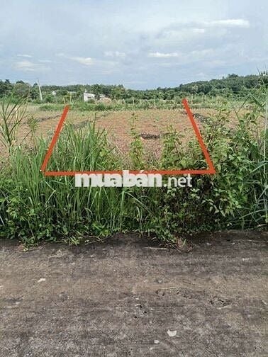 Bán đất thổ cư giá rẻ  .Giá 380 triệu 1 nền 200 m 2 . sổ sẵn