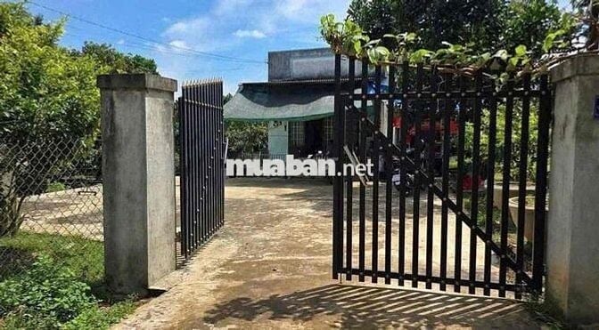 CẦN THANH LÍ RA LÔ ĐẤT VƯỜN 1000M2 GẦN KCN MINH HƯNG HQ