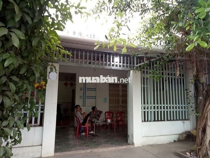 Bán gấp căn nhà MT . DT782 , Gia Lộc , Trảng Bàng 217m2 SHR giá 1 tỉ
