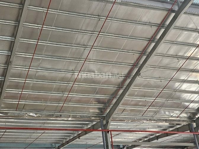 Cho thuê kho 2.800m² PCCC tự động, mới xây tại Trần Đại Nghĩa,Bình Tân
