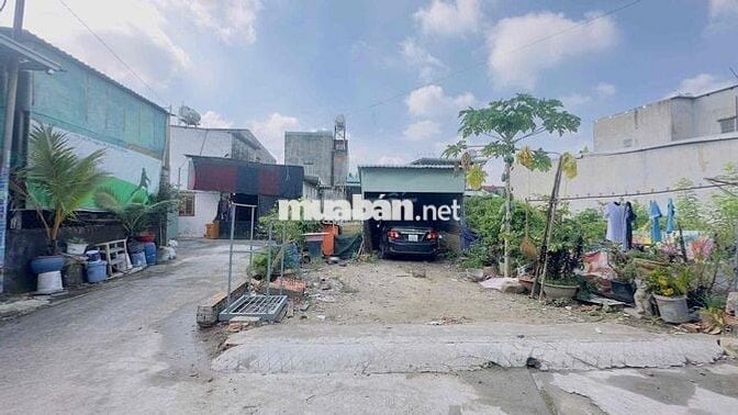Đất 100m2 gần BigC Go, phường Đông Hoà, Tp Dĩ An