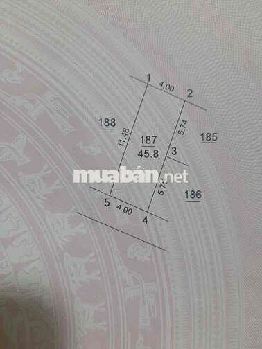 🌟 BÁN ĐẤT ĐẸP DT 45,8m – GIÁ TỐT – GẦN DỰ ÁN VIN BĂC HỒNG 🌟
