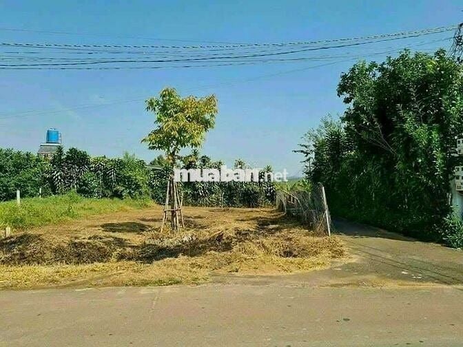 LÔ ĐẤT BẰNG ĐẸP NGAY MẶT TIỀN PHAN ĐÌNH PHÙNG BẢO LỘC