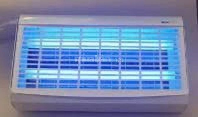 Cần tuyển 05 nam  Lao động phổ thông (LĐPT) Kiểm soát côn trùng