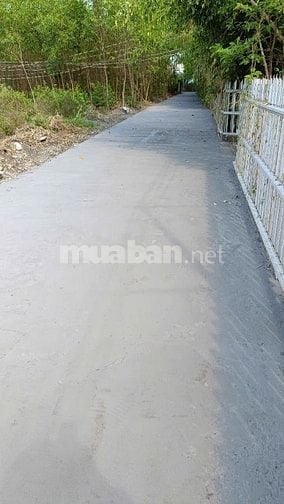Đất thổ nhà vườn Nhơn Trạch giá rẻ 2,1ty/470m. Gần 25C. SR chính chủ.