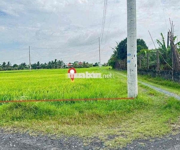 Chính chủ gửi đuờng cây xăng nguyễn thị chính hoà khánh nam 9m nở hậu
