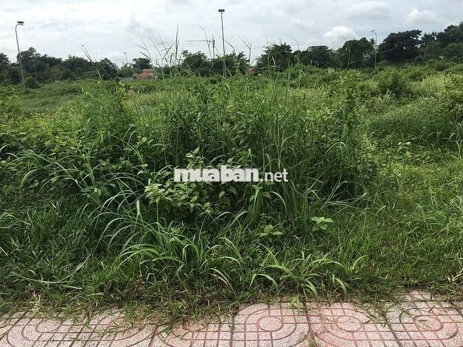 ĐẤT TÂN PHÚ TRUNG GIÁ ĐẸP 110M2 GIÁ CHỈ 670TR SHR, MT ĐƯỜNG NHỰA