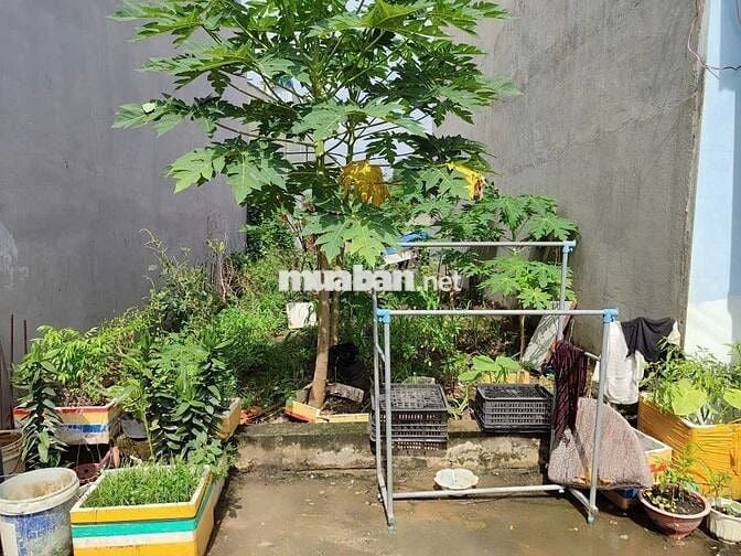 LÔ ĐẤT CAO RÁO – VỊ TRÍ ĐẸP -Mỹ Hạnh – Đức Hòa – Long An