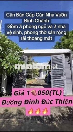 🏦Gia Đình Tôi Cần Bán Gấp Căn Nhà Vườn Thổ Cư Sẵn 100m2☎️