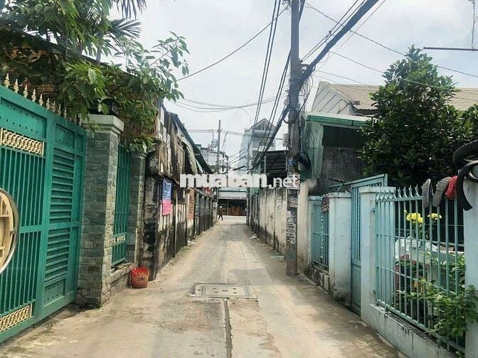 Cho thuê nhà nguyên căn hẻm xe hơi Diện tích rộng