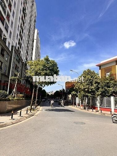Giá đầu tư! Vừa ở vừa kinh doanh, Bán Chân đế Homeland Thượng Thanh