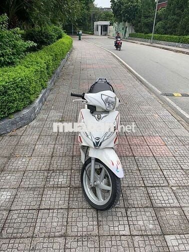 Shark 125 SWM