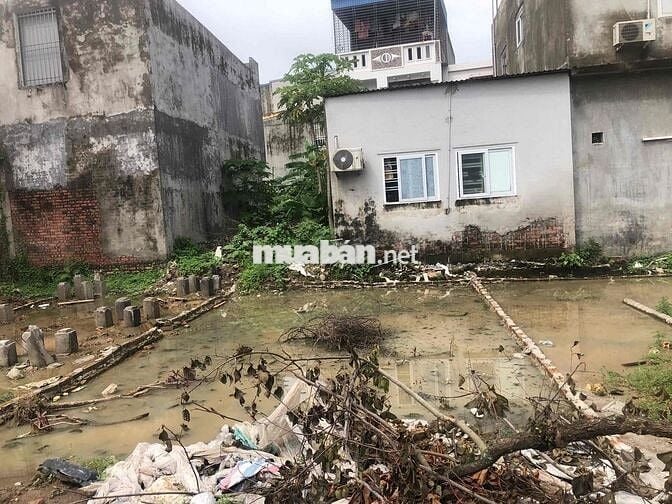 Đất 50m2 ngang 5m Vân Tra, An Đồng, giá chỉ 1,85 tỷ