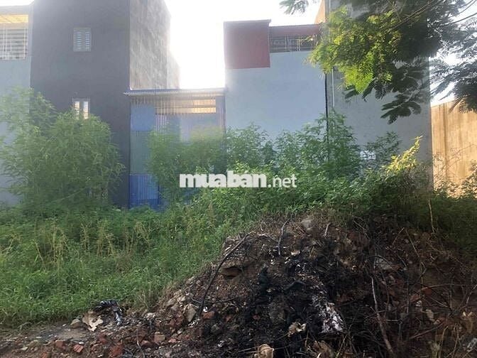 Đất 54m2 ngang 4,5m TĐC Bạch Mai, Đồng Thái, An Dương