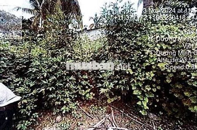 Bán ĐGTS đất tại xã Dương Minh Châu, tỉnh Tây Ninh