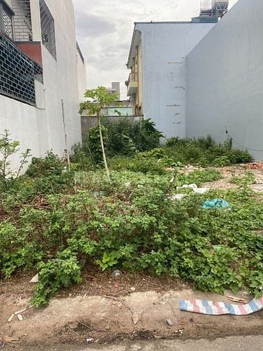 Bình Dương  Bán Gấp  đất mặt tiền giá 250tr