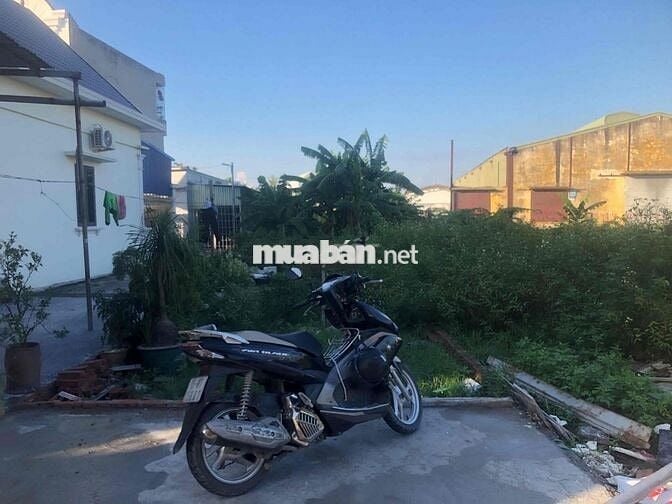 Đất 77m2 ngang 4m Bạch Mai, Đồng Thái, An Dương 2,57 tỷ đồng