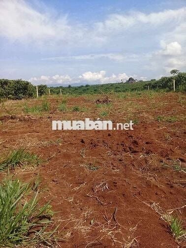 Đất thổ cư 806m2 ủy ban xã Tân Lâm, Di linh.