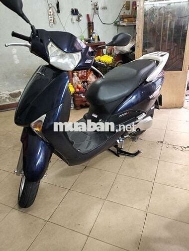 HONDA SCR FUL LEAD bstp