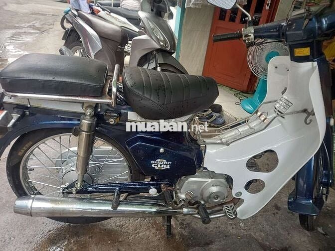 Cup nhật 70cc