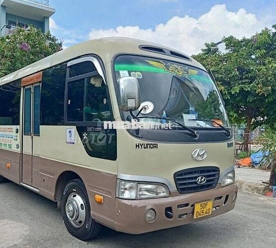 Hyundai Cuonty Limousine 2009
