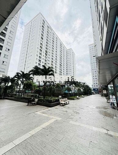 Cho thuê chung cư Topaz Home dt 65m2, có 2pn,2wc, full nội thất