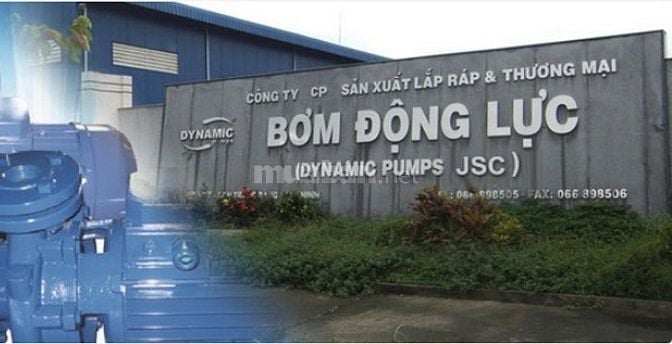 CÔNG TY BƠM ĐỘNG LỰC CẦN TUYỂN LAO ĐỘNG PHỔ THÔNG