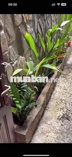 cho thuê nhà 3PN sát đại học Luật Quốc lộ 13