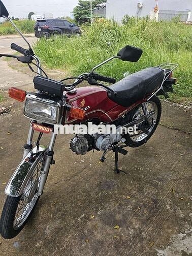 WIN 100 INDONESIA