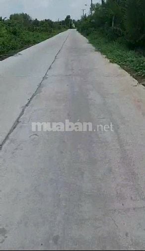 Đất MT nhà vườn Phan Văn Đáng Phú Hữu Nhơn Trạch,giá rẻ, SR chính chủ