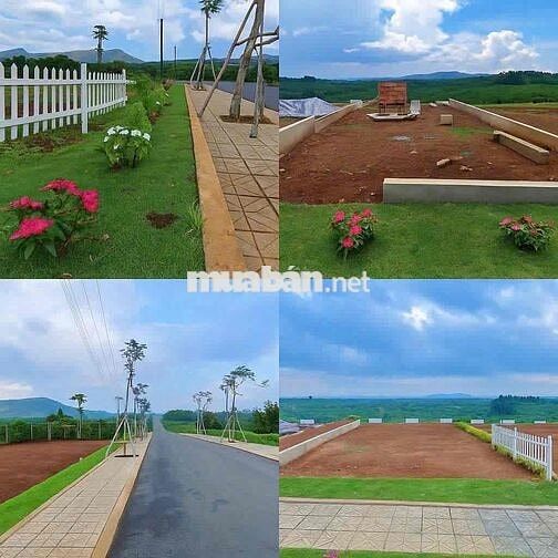 CẦN BÁN ĐẤT CÓ SỔ THỔ CƯ DI LINH CÁCH QLO20 CHỈ 2KM GIÁ CHỈ 835tr