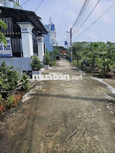 Bán đất lộc hậu mỹ lộc cần giuộc