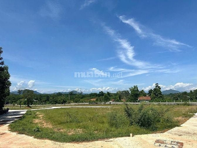 Đất Tiềm Năng Giá Rẻ ( Dạ Lê )