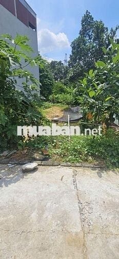 ✨️✨️ Bán 115m2 Đất Ngọc Trì, Kim Hoa –  Đầu tư cực đỉnh – Gần KCN