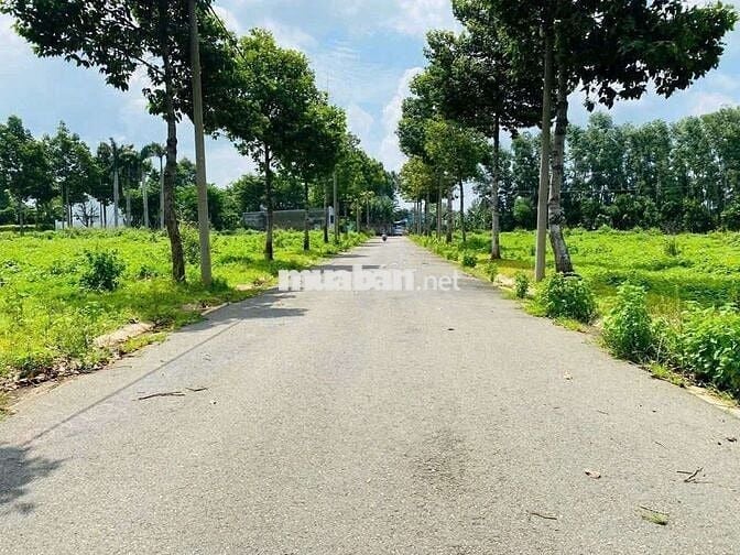 Chính chủ gửi bán nhanh lô đất đường số 25 Hòa Long 100m2/1ty1