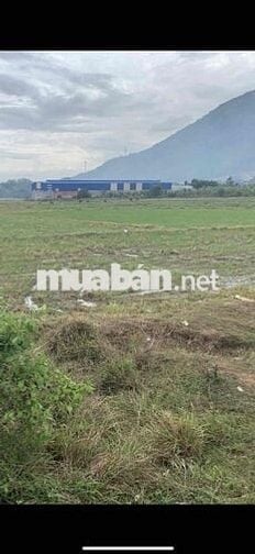 Diện tích: 31.681,1 Giá Bán: 53.857.870.000