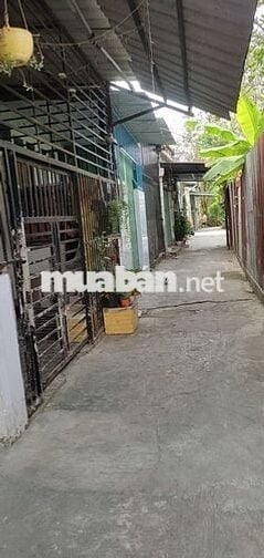 Nhà nguyên căn, 3 Phòng ngủ - Đường 42, P Hiệp Bình
