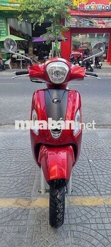 Like 50cc phân phối mẫu 2021 Biển43AA zin100