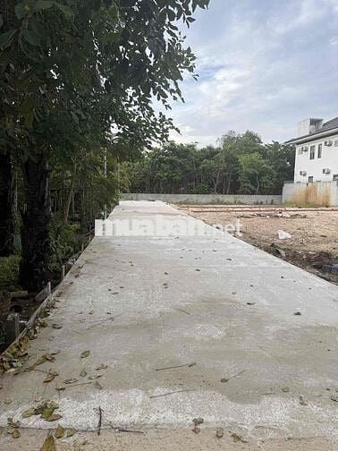 Chào Bán Đất Khái Tây 1 - Đường 5 m - Sât làng đại Học