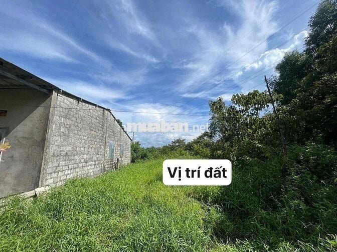 Đất lớn 920m2 phù hợp làm nhà vườn, kho xưởng, hay kinh doanh khu vui