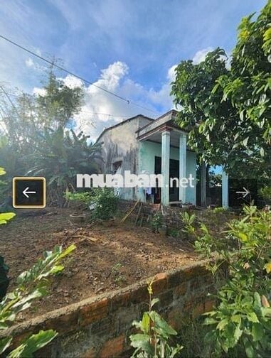 Đất sổ đỏ 120m2 đường Nguyễn Như Đổ,Quận Cẩm Lệ, Đà Nẵng