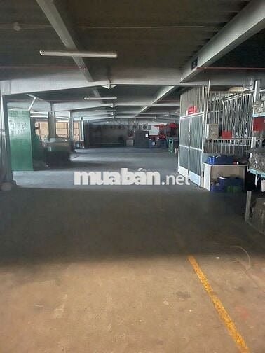 CHO THUÊ KHO XƯỞNG 4.900m² – KCN TÂN ĐỨC, ĐỨC HÒA PCCC TỰ ĐỘNG